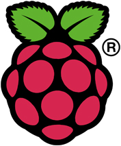 Logo for Raspberry Pi